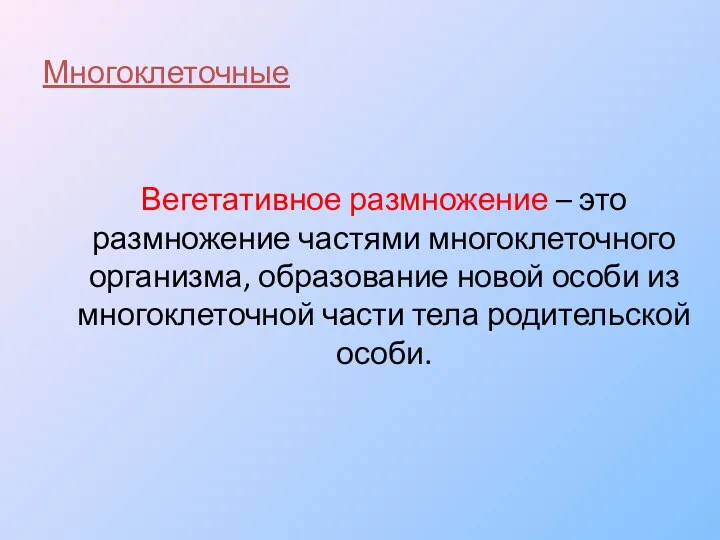 Многоклеточные Вегетативное размножение – это размножение частями многоклеточного организма, образование