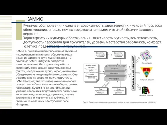 КАМИС Культура обслуживания - означает совокупность характеристик и условий процесса