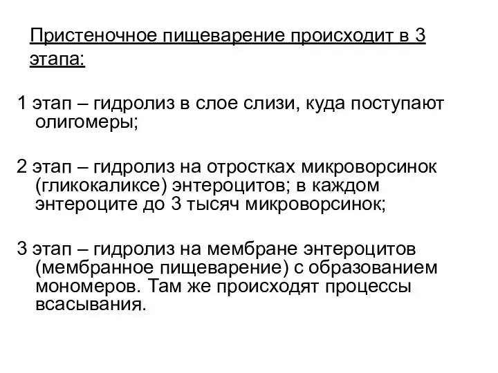 Пристеночное пищеварение происходит в 3 этапа: 1 этап – гидролиз