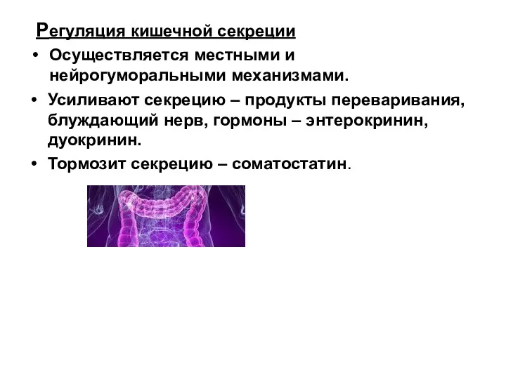 Регуляция кишечной секреции Осуществляется местными и нейрогуморальными механизмами. Усиливают секрецию