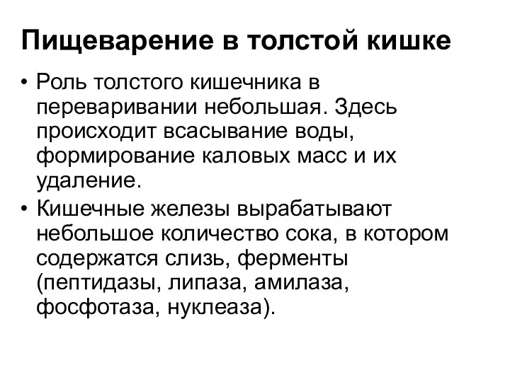 Пищеварение в толстой кишке Роль толстого кишечника в переваривании небольшая.