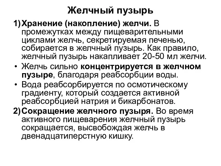 Желчный пузырь 1) Хранение (накопление) желчи. В промежутках между пищеварительными