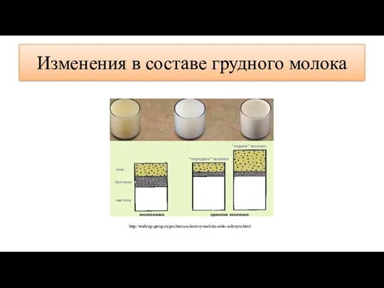 Изменения в составе грудного молока http://tradeup-group.ru/pochemu-u-korovy-moloko-stalo-solenym.html