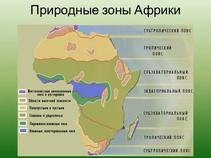 Природные зоны Африки