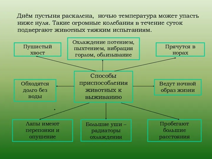 Днём пустыня раскалена, ночью температура может упасть ниже нуля. Такие