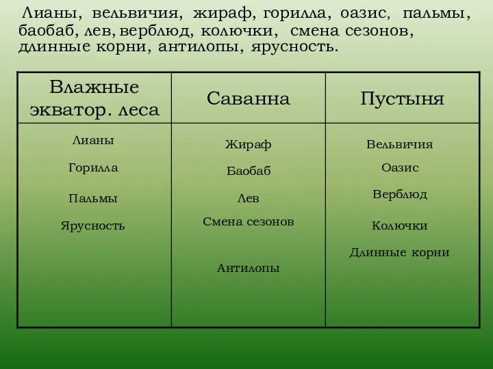 Лианы, вельвичия, жираф, горилла, оазис, Лианы пальмы, баобаб, лев, верблюд,