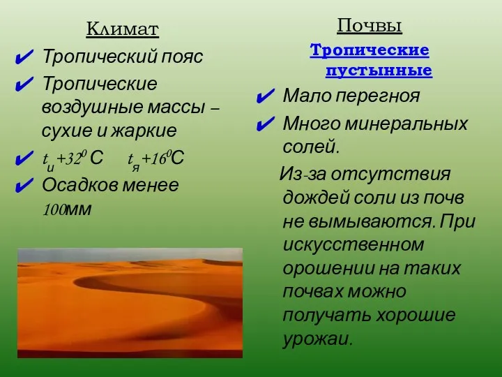 Климат Тропический пояс Тропические воздушные массы – сухие и жаркие