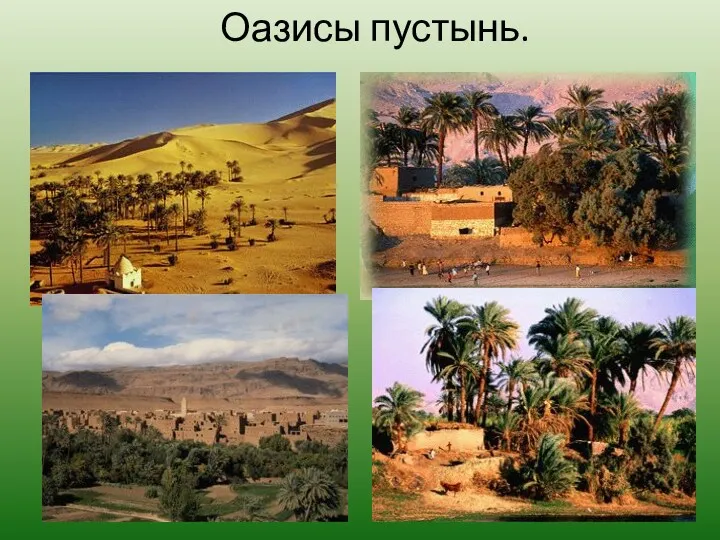 Оазисы пустынь.