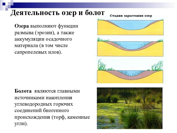 Деятельность озер и болот Озера выполняют функции размыва (эрозии), а