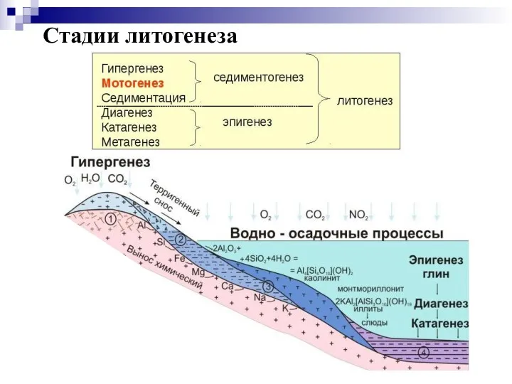 Стадии литогенеза