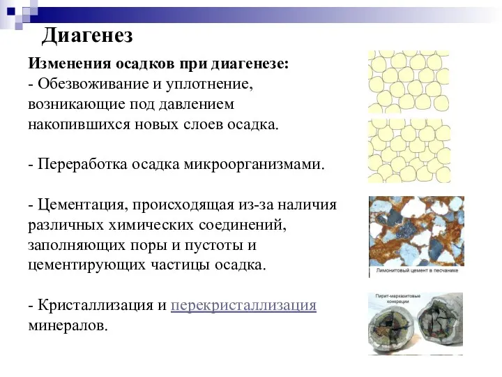 Изменения осадков при диагенезе: - Обезвоживание и уплотнение, возникающие под