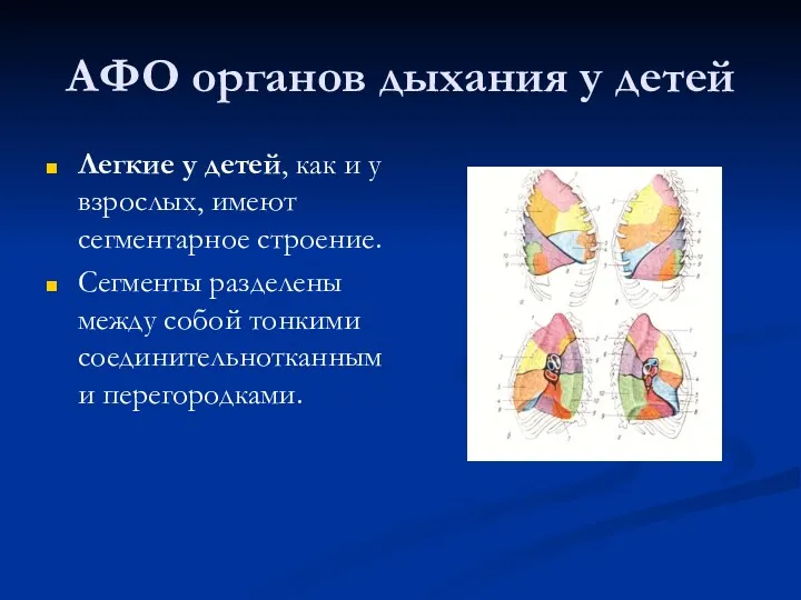 АФО органов дыхания у детей Легкие у детей, как и