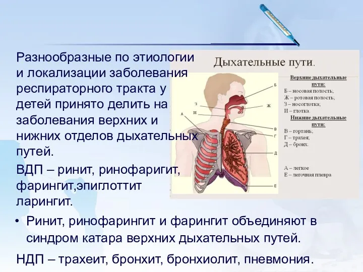 Разнообразные по этиологии и локализации заболевания респираторного тракта у детей