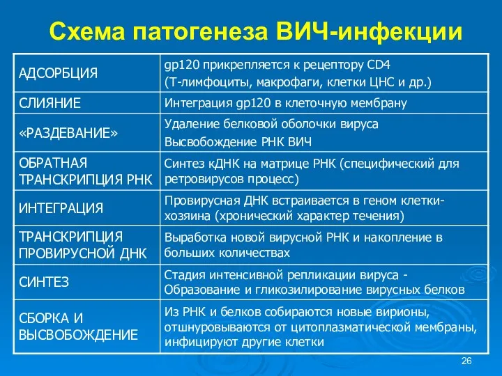 Схема патогенеза ВИЧ-инфекции