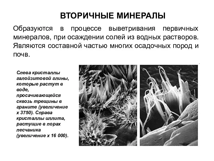 ВТОРИЧНЫЕ МИНЕРАЛЫ Образуются в процессе выветривания первичных минералов, при осаждении солей из водных