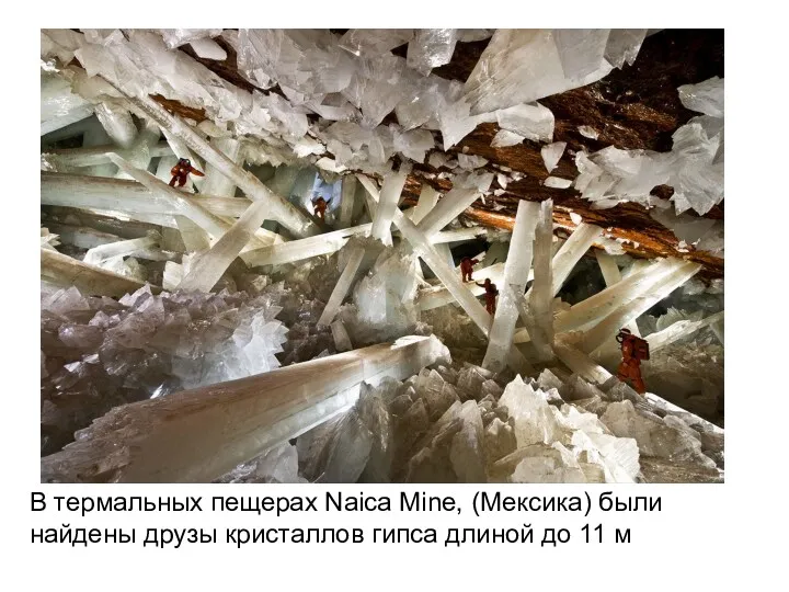 В термальных пещерах Naica Mine, (Мексика) были найдены друзы кристаллов гипса длиной до 11 м