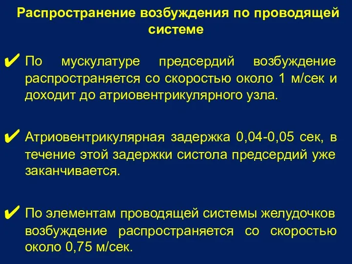 Распространение возбуждения по проводящей системе По мускулатуре предсердий возбуждение распространяется