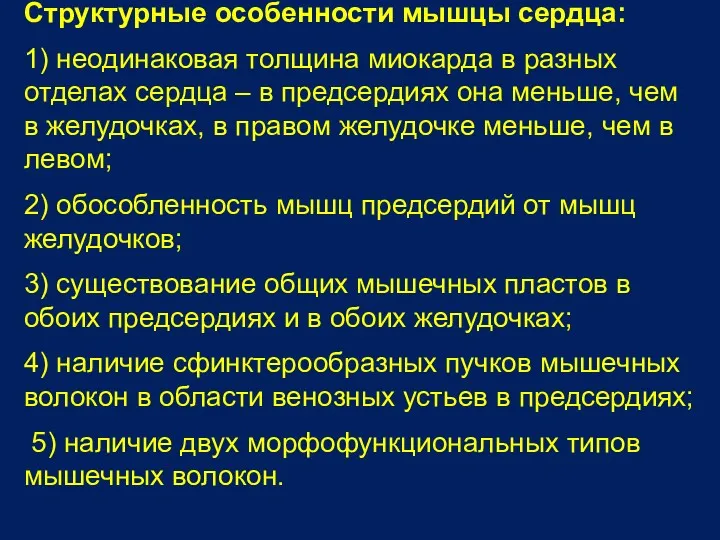 Структурные особенности мышцы сердца: 1) неодинаковая толщина миокарда в разных