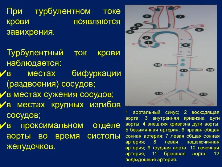 При турбулентном токе крови появляются завихрения. Турбулентный ток крови наблюдается: