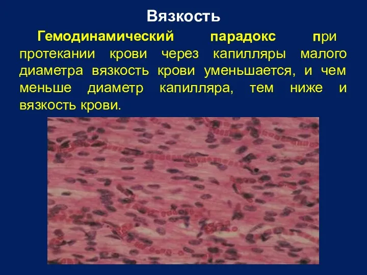 Вязкость Гемодинамический парадокс при протекании крови через капилляры малого диаметра