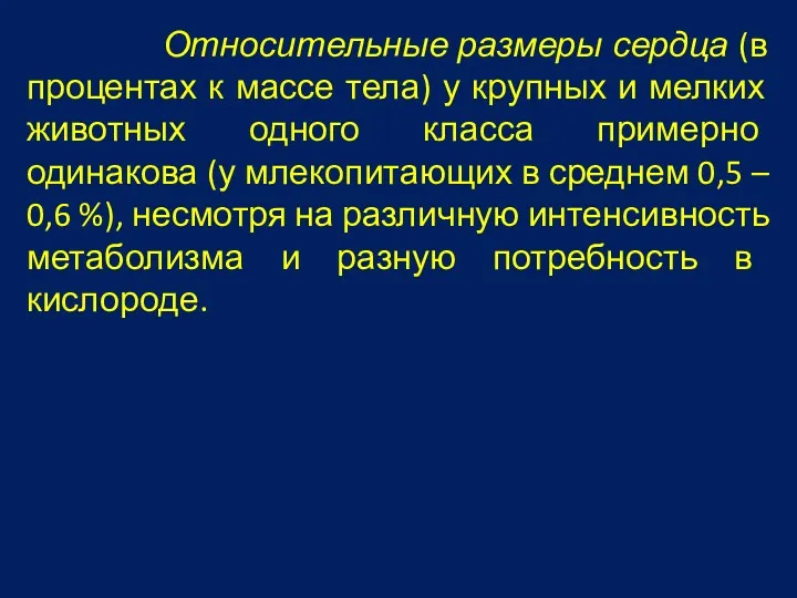 Относительные размеры сердца (в процентах к массе тела) у крупных