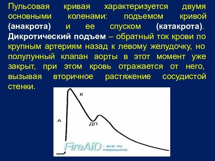 Пульсовая кривая характеризуется двумя основными коленами: подъемом кривой (анакрота) и