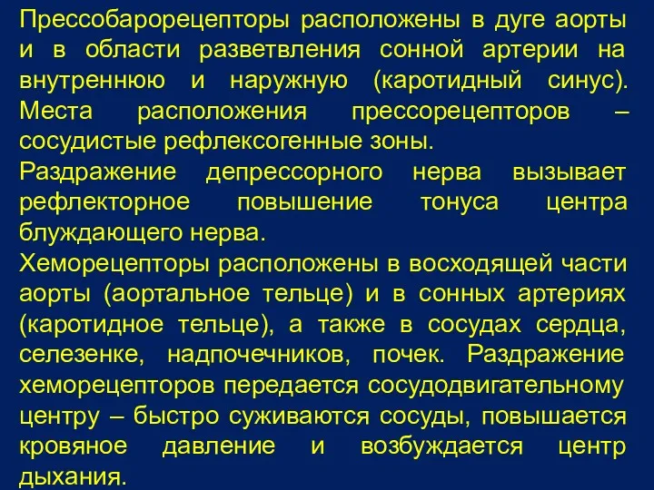 Прессобарорецепторы расположены в дуге аорты и в области разветвления сонной