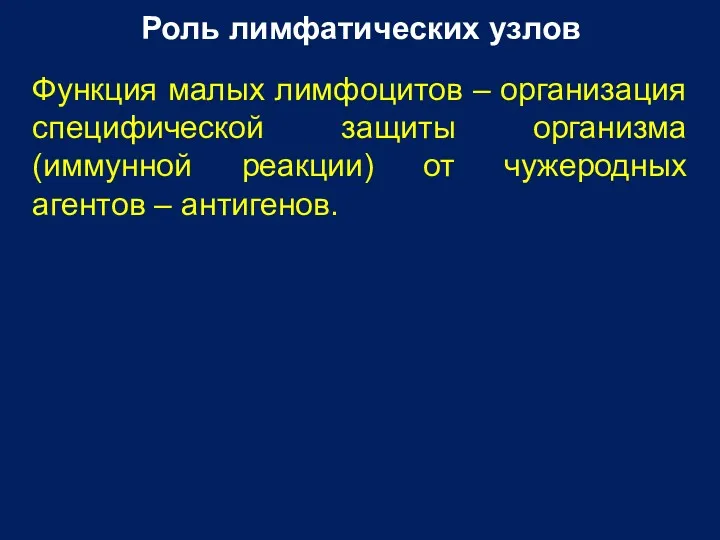 Роль лимфатических узлов Функция малых лимфоцитов – организация специфической защиты