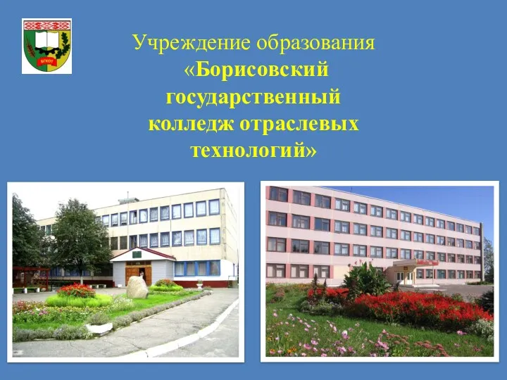 Учреждение образования «Борисовский государственный колледж отраслевых технологий»