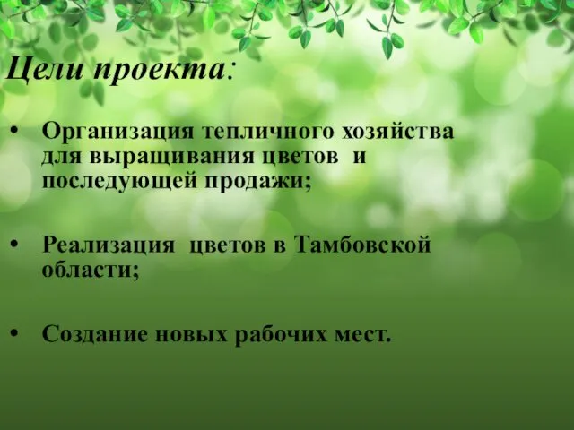 Цели проекта: Организация тепличного хозяйства для выращивания цветов и последующей