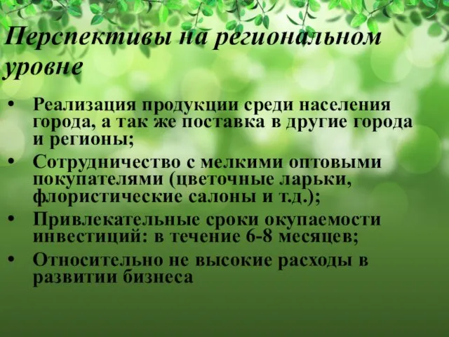 Перспективы на региональном уровне Реализация продукции среди населения города, а