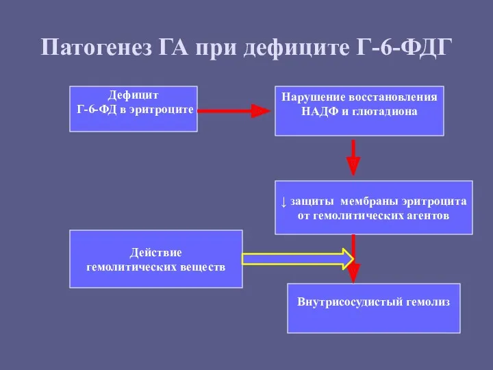 Патогенез ГА при дефиците Г-6-ФДГ Дефицит Г-6-ФД в эритроците Нарушение