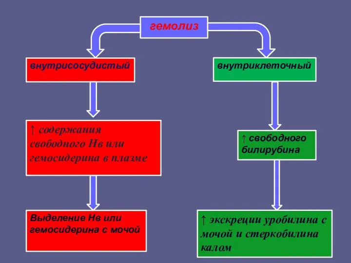 гемолиз внутриклеточный Выделение Нв или гемосидерина с мочой ↑ свободного