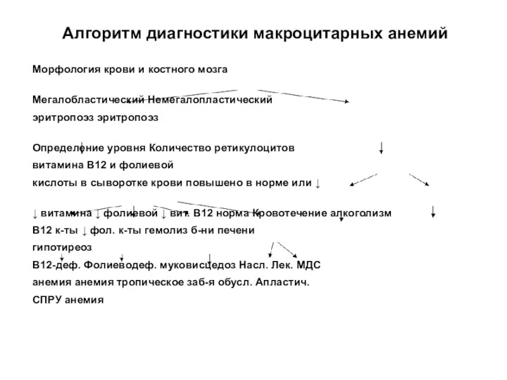 Алгоритм диагностики макроцитарных анемий Морфология крови и костного мозга Мегалобластический