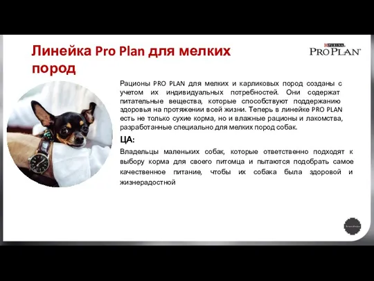 Рационы PRO PLAN для мелких и карликовых пород созданы с