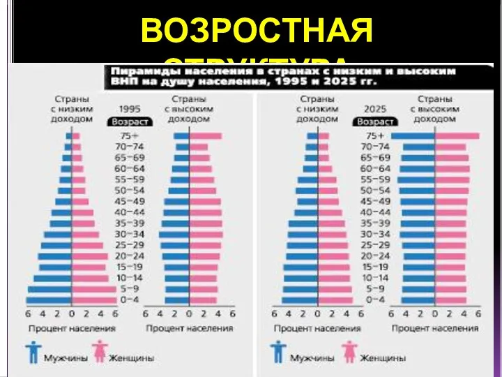 ВОЗРОСТНАЯ СТРУКТУРА