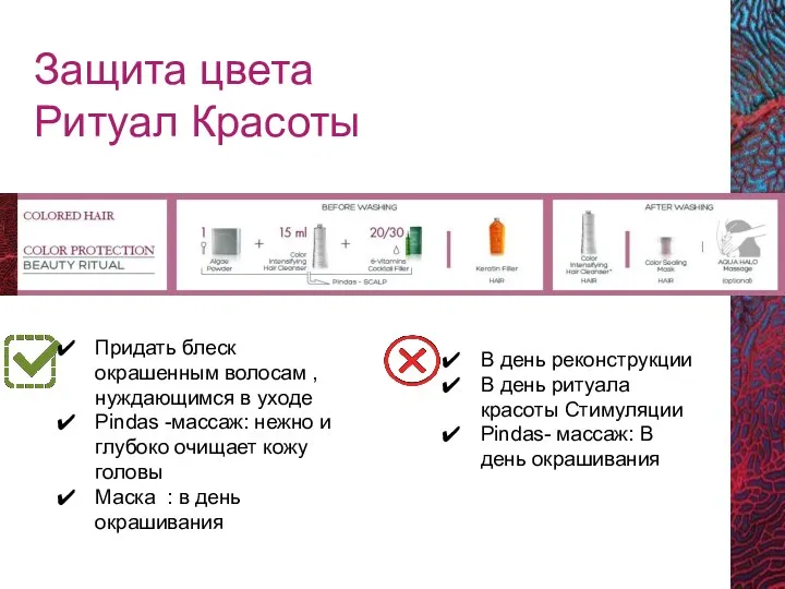 Защита цвета Ритуал Красоты Придать блеск окрашенным волосам , нуждающимся в уходе Pindas