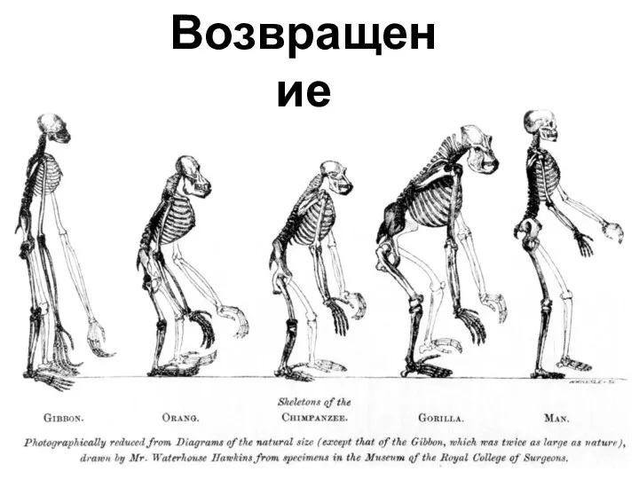 Возвращение