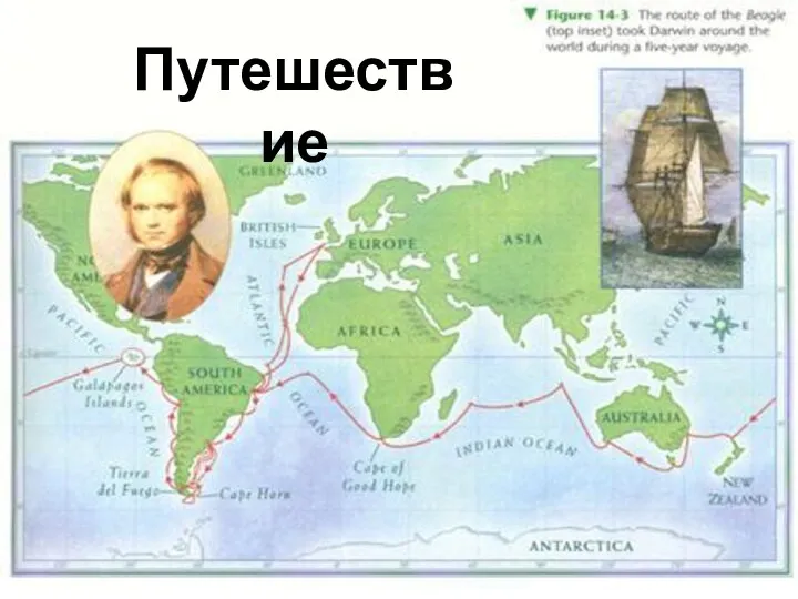 Путешествие