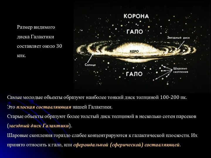 Размер видимого диска Галактики составляет около 30 кпк. Самые молодые