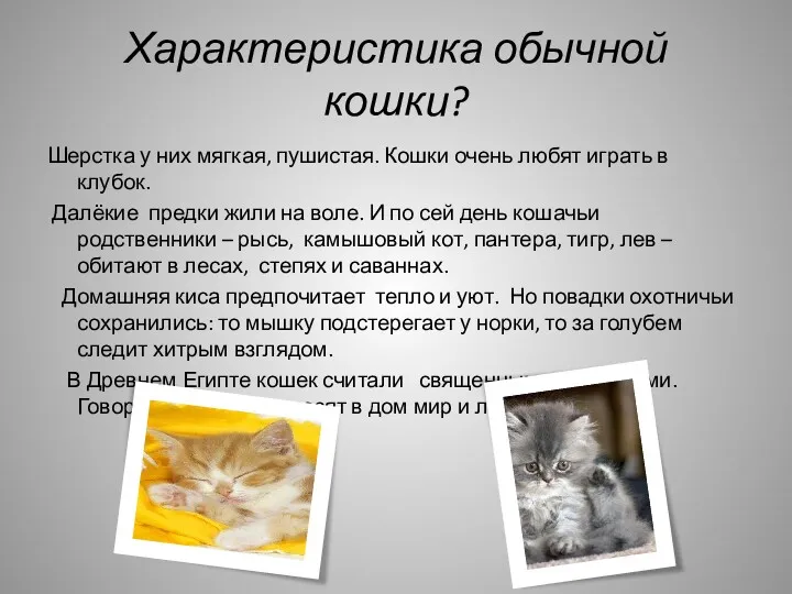 Характеристика обычной кошки? Шерстка у них мягкая, пушистая. Кошки очень