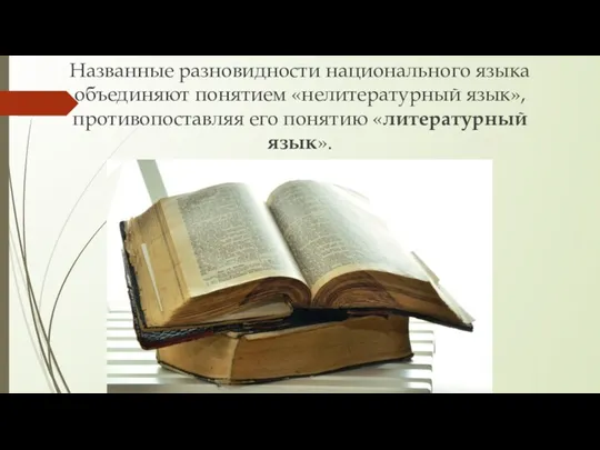 Названные разновидности национального языка объединяют понятием «нелитературный язык», противопоставляя его понятию «литературный язык».