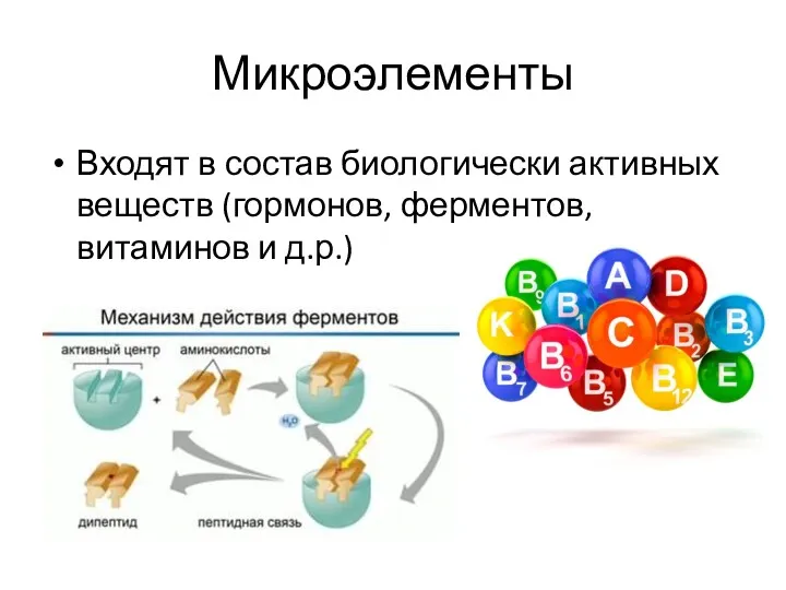 Микроэлементы Входят в состав биологически активных веществ (гормонов, ферментов, витаминов и д.р.)