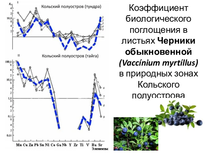 Коэффициент биологического поглощения в листьях Черники обыкновенной (Vaccínium myrtíllus) в природных зонах Кольского полуострова