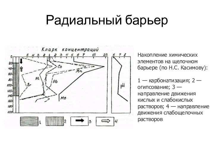 Радиальный барьер Накопление химических элементов на щелочном барьере (по Н.С.