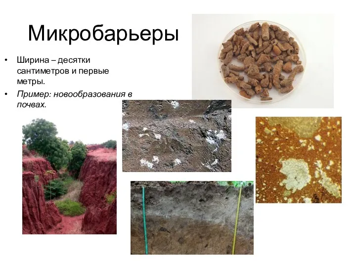 Микробарьеры Ширина – десятки сантиметров и первые метры. Пример: новообразования в почвах.