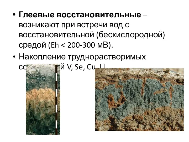 Глеевые восстановительные – возникают при встречи вод с восстановительной (бескислородной)