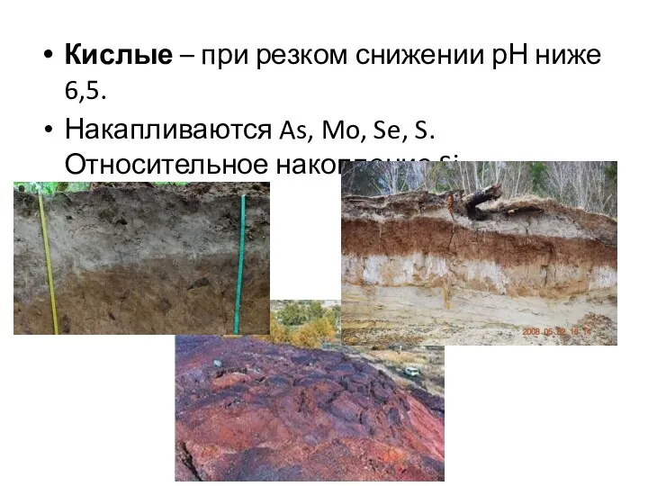 Кислые – при резком снижении рН ниже 6,5. Накапливаются As, Mo, Se, S. Относительное накопление Si.