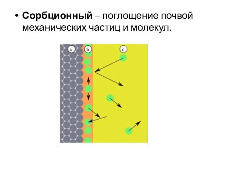 Сорбционный – поглощение почвой механических частиц и молекул.