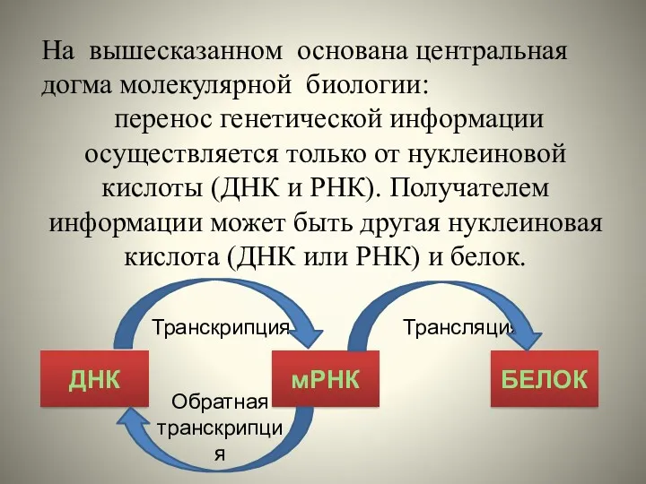 На вышесказанном основана центральная догма молекулярной биологии: перенос генетической информации